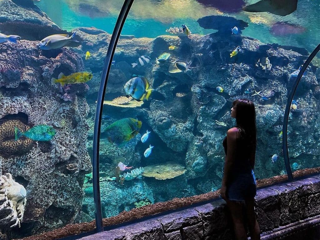 A woman looks at sharks from a viewing area at an aquarium. 