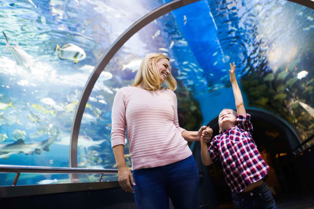 A woman holds the hand of her child at thy gaze at an aquarium.