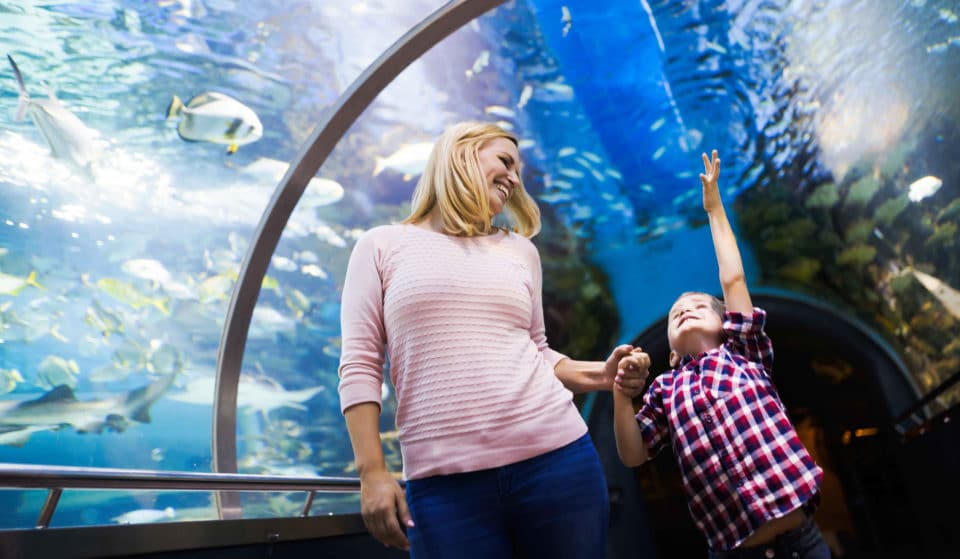 10 Of The Best Things To Do With Kids In Las Vegas For Family Fun