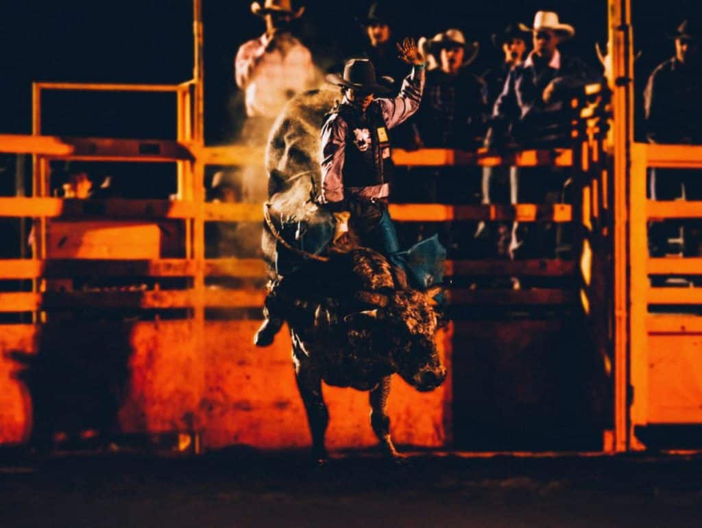 A cowboy riding a bull.