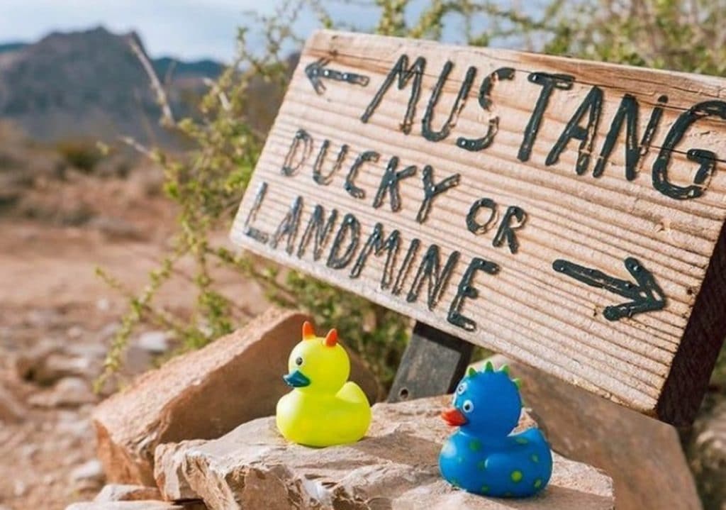 A sign along the Rubber Ducky Trail that reads "Mustang Ducky or Landmine"